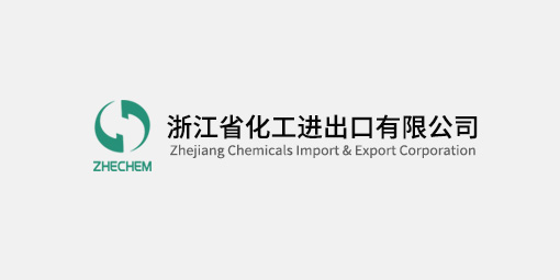 主題教育進行時丨浙江化工黨委書記、董事長顏雷翔開展主題教育“大調(diào)研”活動